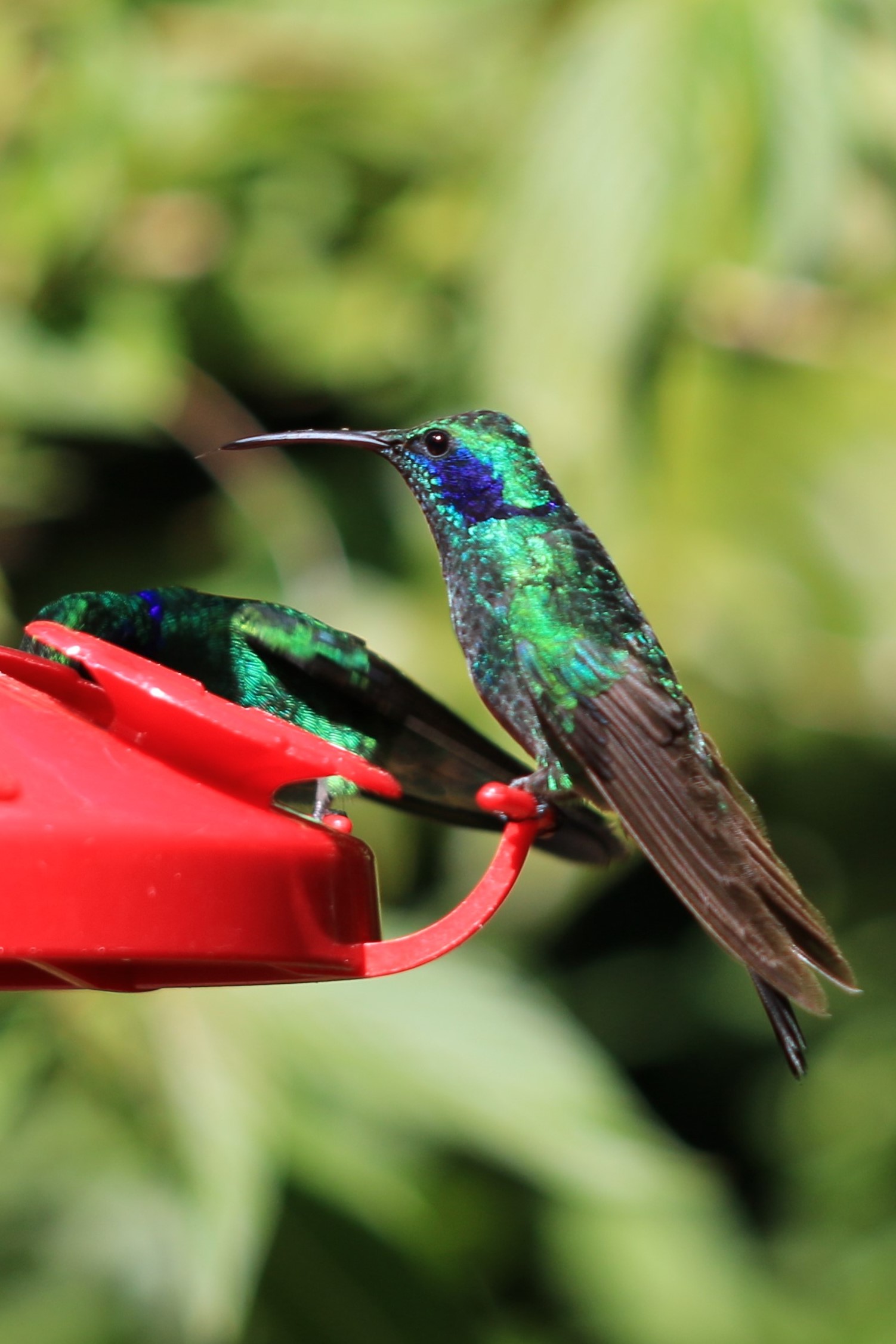 Costa Rica